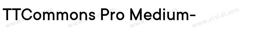 TTCommons Pro Medium字体转换